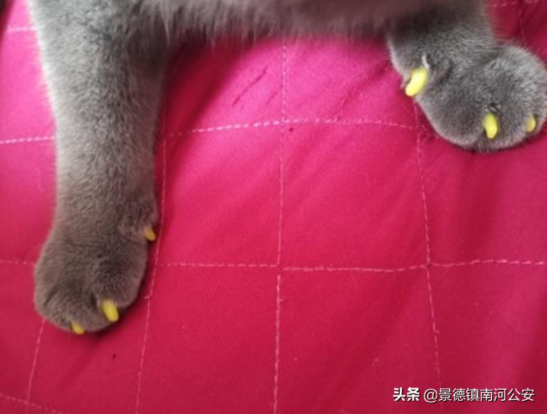 “割声带、截肢、电击，当爱变成我的噩梦”