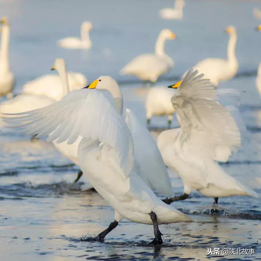 这个最适合冬天来的北方小城，光是海鲜就能让你吃回票价
