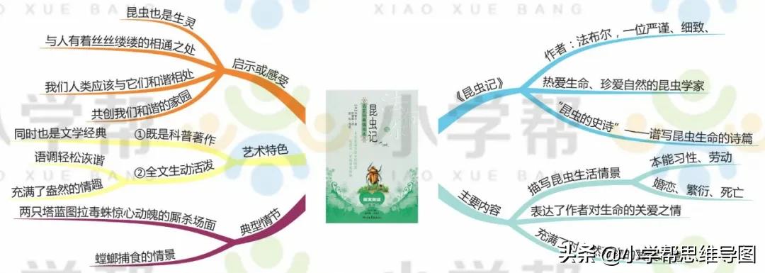 九年级语文名著思维导图上册,思维导图入门必看小学语文