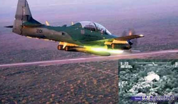 亚马逊巨嘴鸟,巨型巨嘴鸟