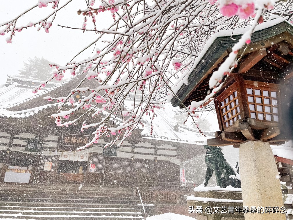 冬季日本的自驾游攻略,冬日游日本名古屋攻略