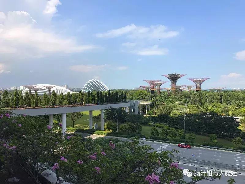 新加坡马来西亚泰国旅游攻略,新加坡马来西亚四日游攻略