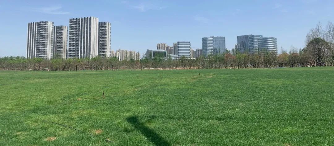 多图直击：即将交付的郑州荷湖片区，能否成为新晋网红打卡地