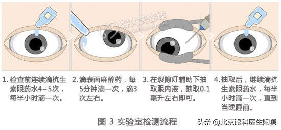 陶勇能治好已经失明的人吗,陶勇高度近视失明