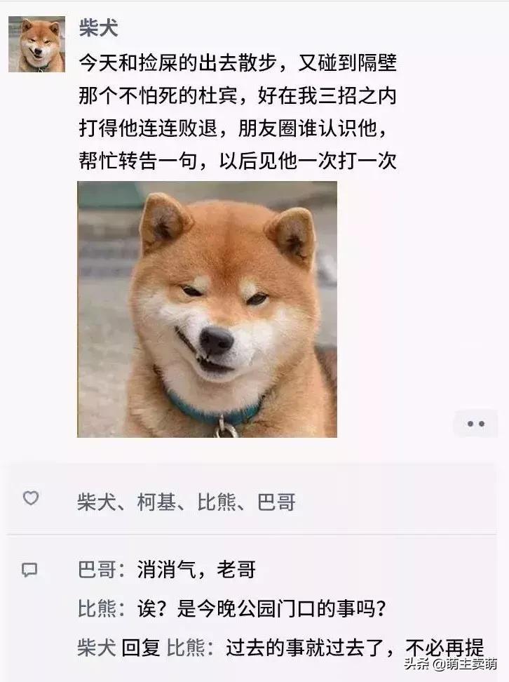 狗拟人化的性格,各种狗狗拟人化