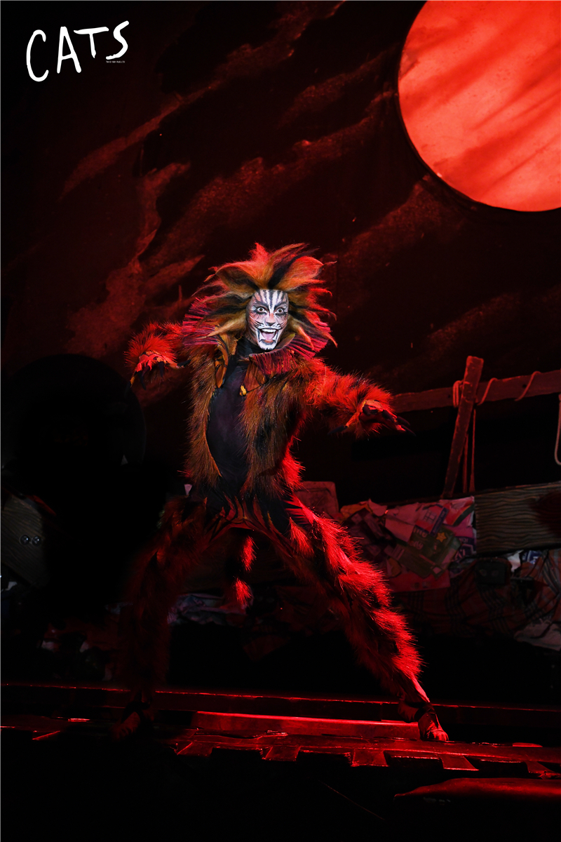 天津大剧院音乐剧演出,天津音乐剧2020