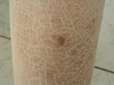 雅顿绿茶身体乳按压款真假辨别,雅顿身体乳绿茶好用吗