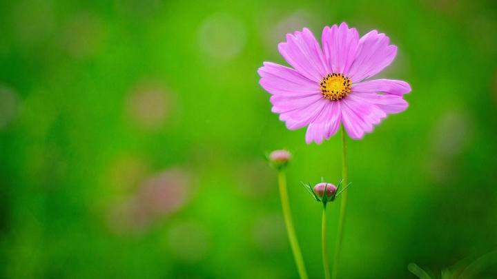 2021新高考高中地理必背知识点,高中生物地理会考重要知识点总结