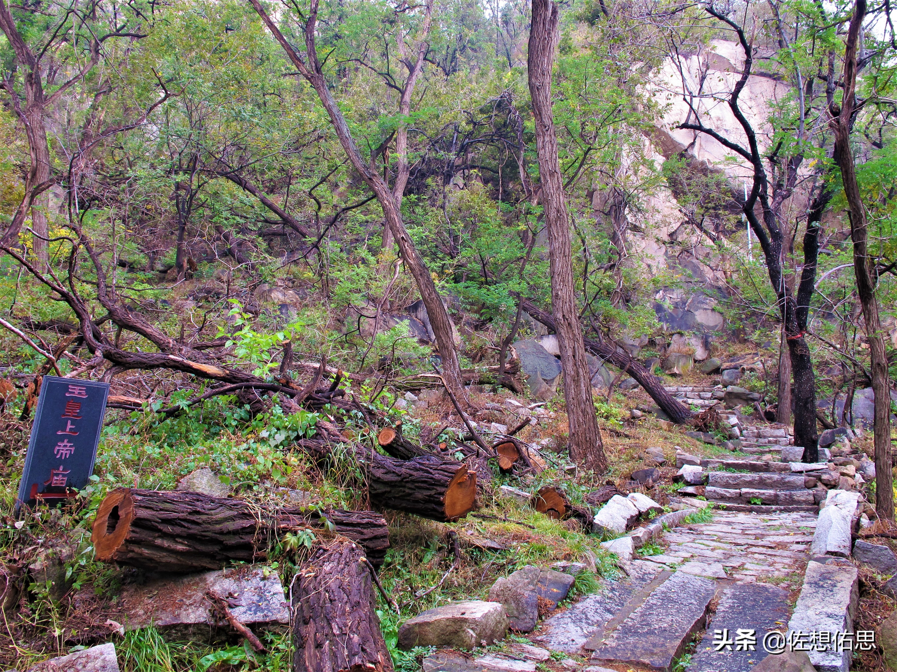 泰安扇子崖免门票吗,扇子崖门票多少钱