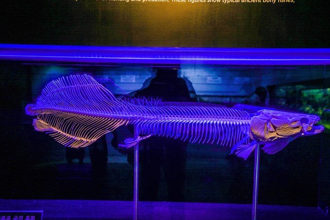 新手怎么逛免税店攻略,50家免税店最划算攻略在此