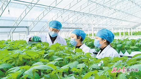 决战决胜脱贫攻坚原文,脱贫攻坚书写收官答卷