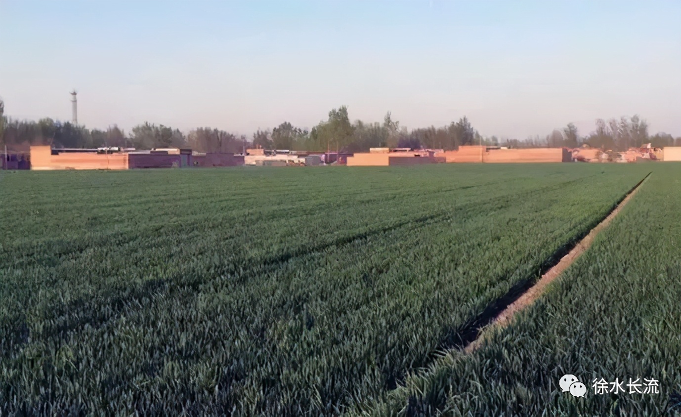 有着千年历史的徐水于坊村名来历一直是个谜