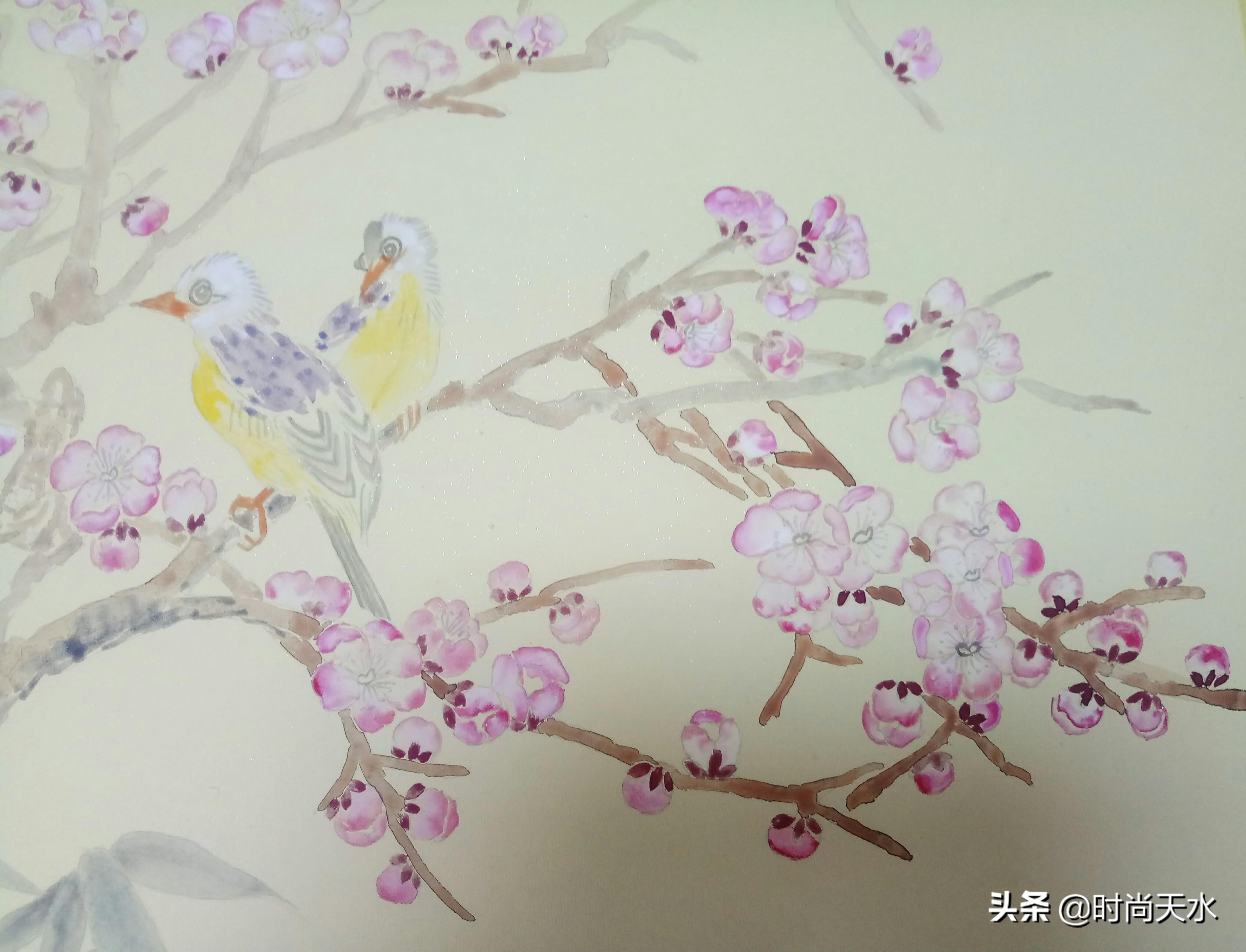 黄海燕牡丹仙子照片,牡丹仙子黄海燕