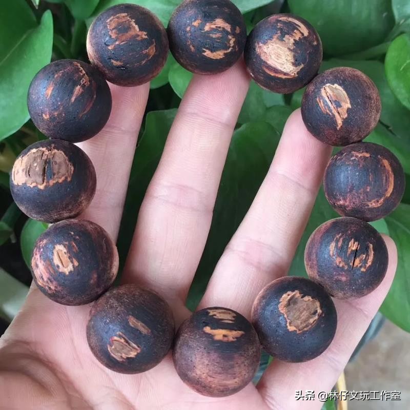 怎样分辨降真香,降真香的形成