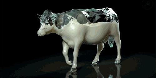 奶粉是小朋友的生命之源,奶粉是宝宝的口粮