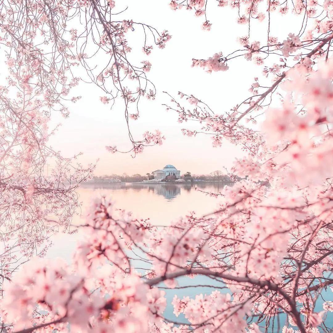 是心动啊，樱樱樱樱樱樱樱樱樱