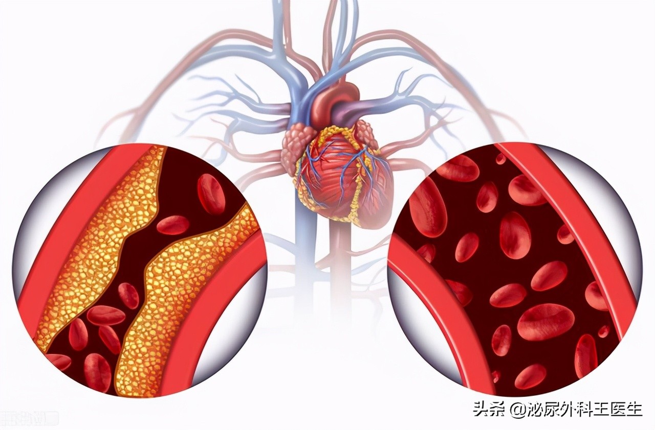 张伯礼建议吃叶酸每天吃多少,张伯礼四十岁后补充叶酸