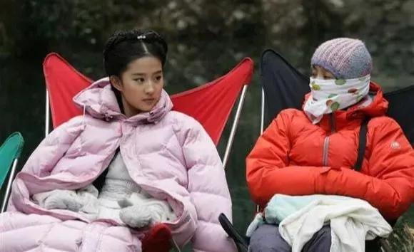 刘亦菲花木兰四大槽点,从花瓶到影后用演技迷翻众生