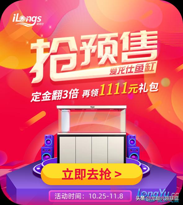 垃圾桶旁边的四方鱼缸，捡回去养了一缸金鱼，别说还挺不错