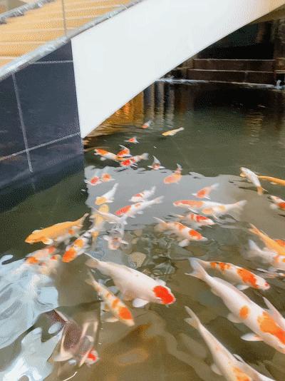 新加坡十大必住酒店,在新加坡住酒店多少钱