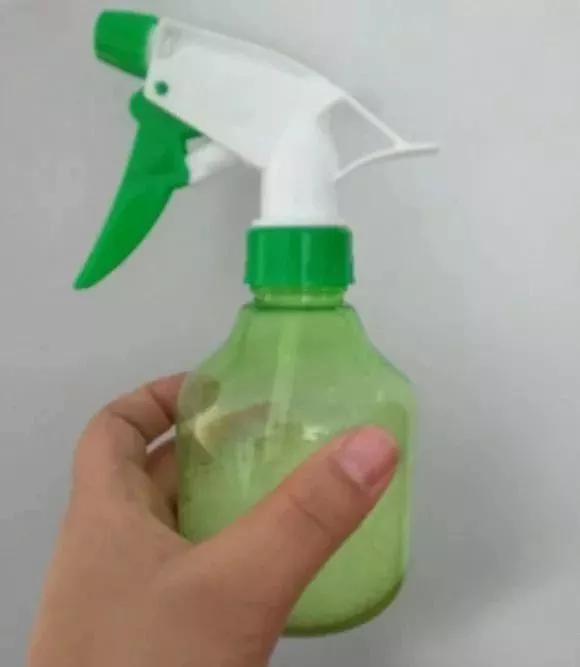 月季杀虫最有效液,什么植物可以帮月季杀虫