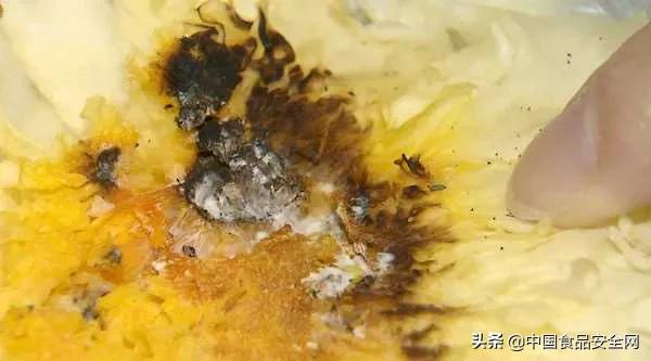 鲜银耳发霉仍在出售，欧尚超市：霉菌部分挖掉不影响食用，蔬菜没有保质期！