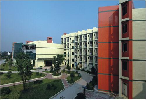 重庆扫盲是哪一年开始的,重庆成年扫盲班