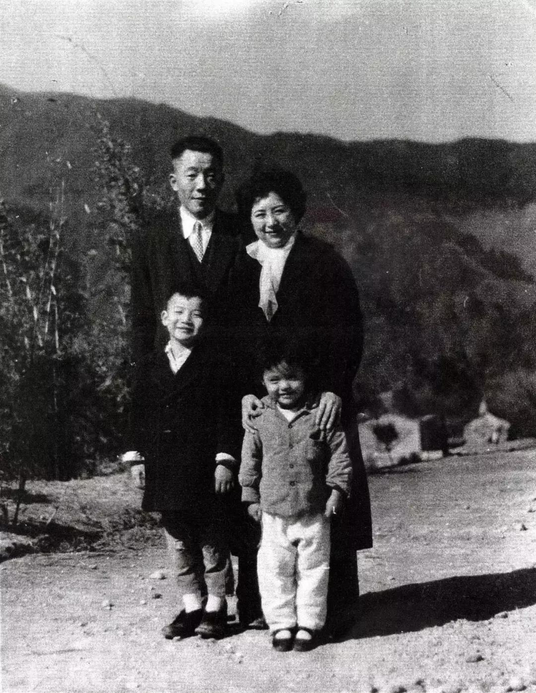 家族树绘本故事,家族树英文视频