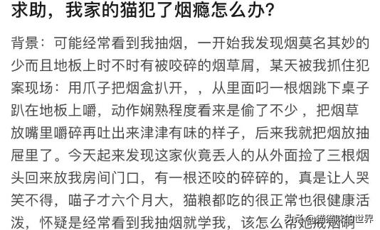 二手烟对猫有影响吗,二手烟对猫的危害