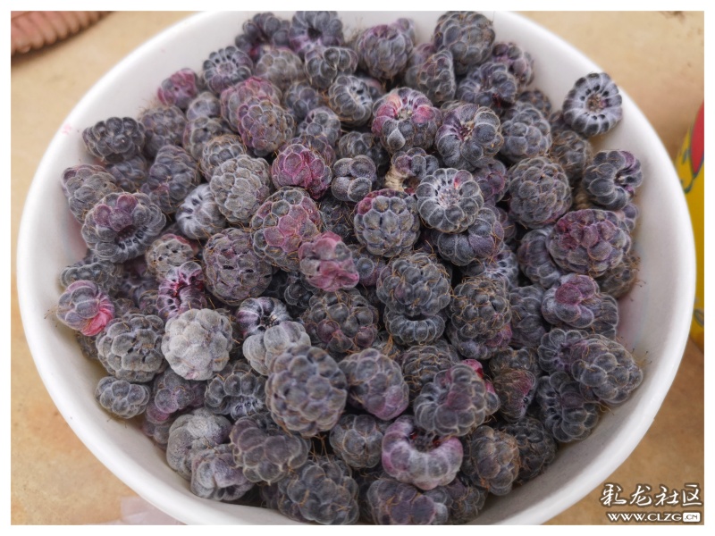 昆明大墨雨村攻略,昆明团结镇大墨雨村一日游