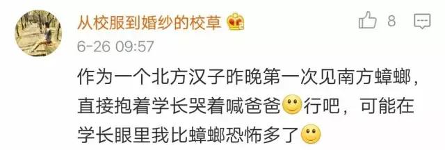 断头不死，马桶里重生，南方蟑螂凭什么把北方汉子吓出猪叫