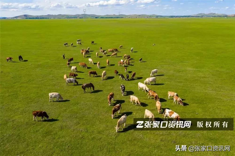 张家口草原天路美景如画,张家口一路风景