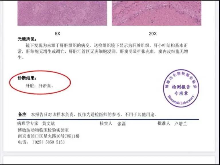 寄养“恶霸”离奇暴毙，医生说，可能是热的……