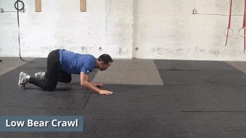 什么？爬行训练能治脊椎病？