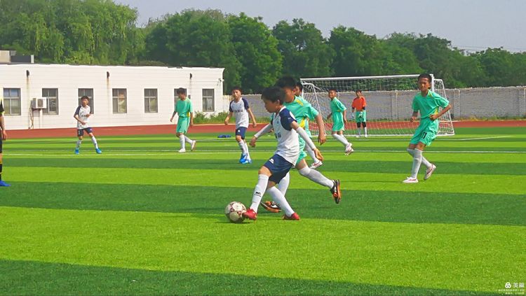 潍坊滨海区国际学校体育艺术节,潍坊滨海国际学校乒乓球