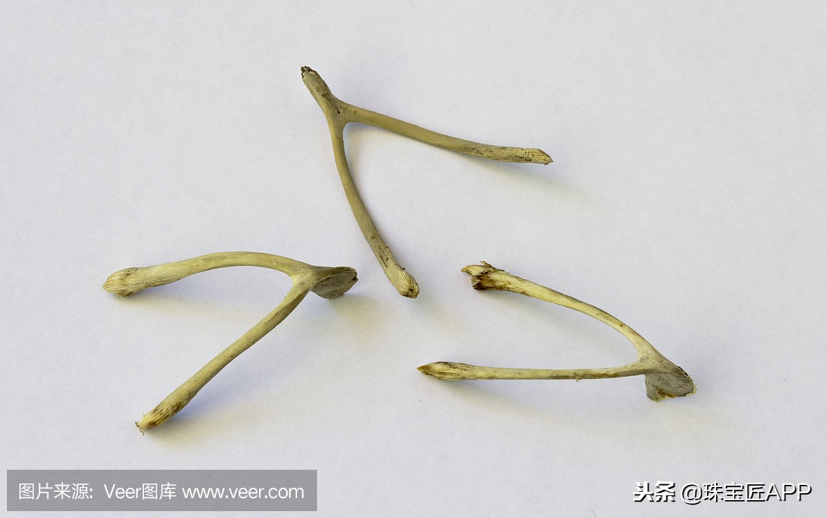 感恩节趣谈｜火鸡骨头挂门上，未来伴侣找上家？