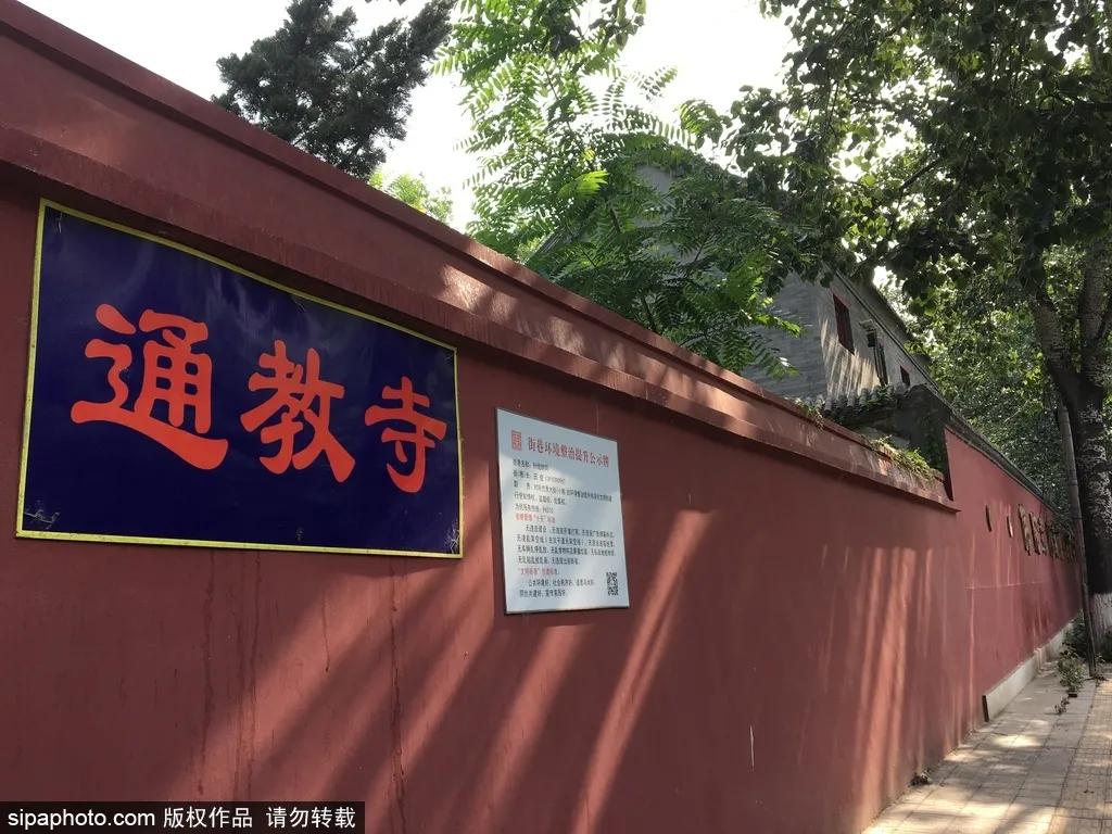 北京免费的花海公园,北京免费花海景区