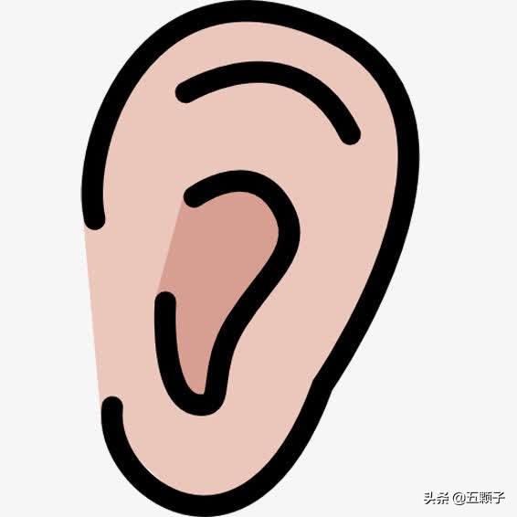 耳朵进水嗡嗡响是什么原因,耳朵进水出不来有什么办法搞出来