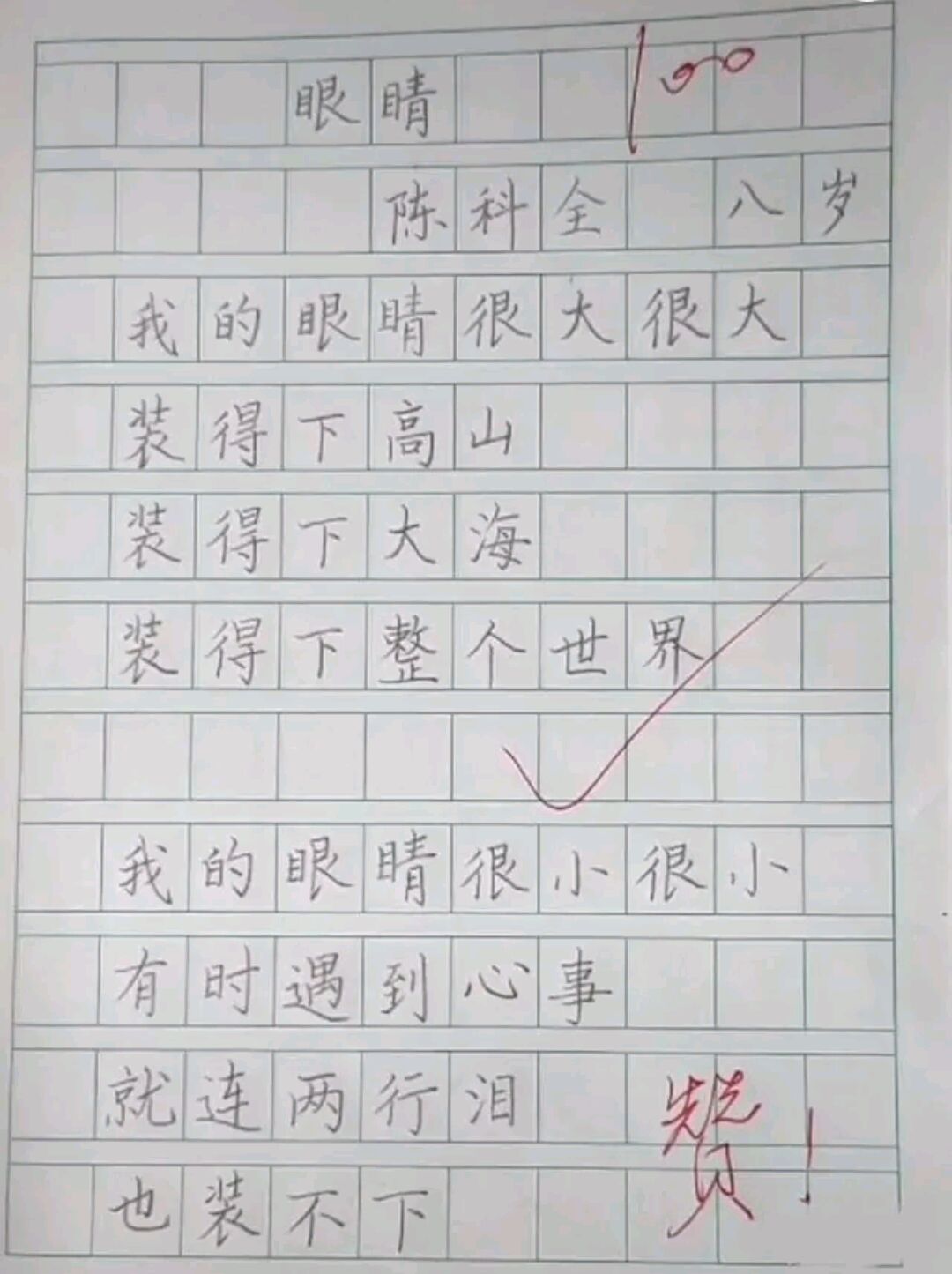 小学作文描写眼睛的优美句子,小学作文眼睛的描写