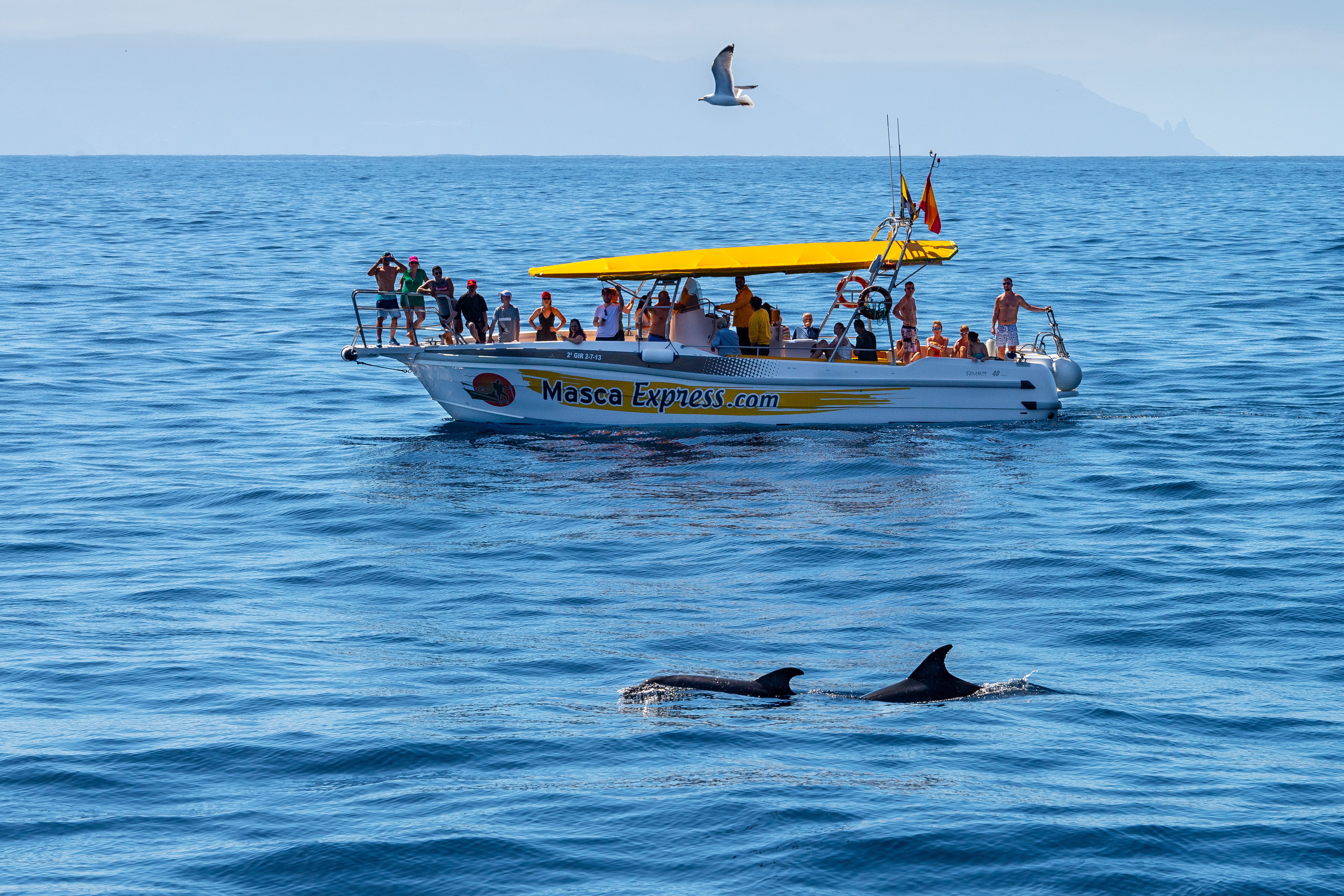 世界有名的海岛旅游胜地,世界10大最奇特海岛