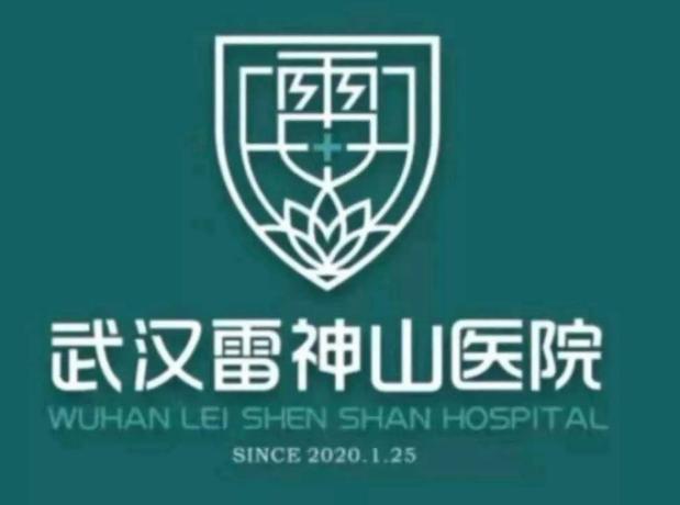 武汉火神山医院徽标的寓意新闻,武汉雷神山和火神山医院logo解密