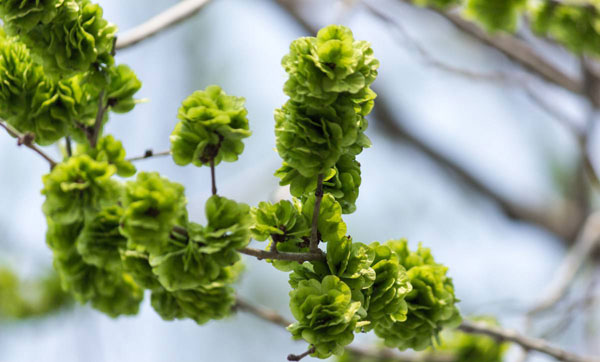 中国药都亳州小吃名店,中国亳州美食有哪些特色