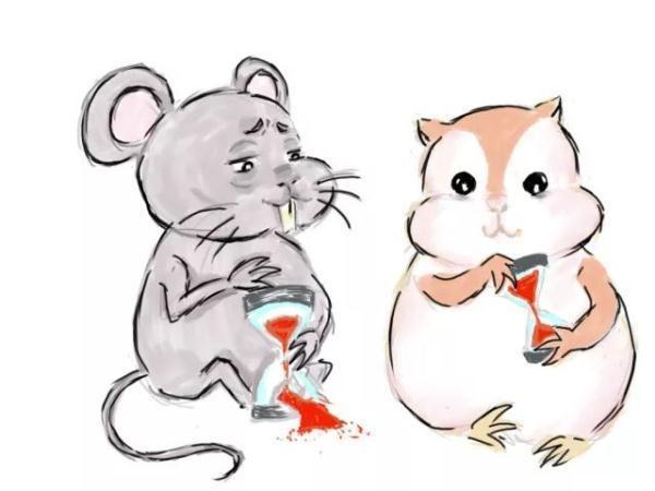 一年级禁毒漫画简单又漂亮,一个禁毒宣传漫画作品