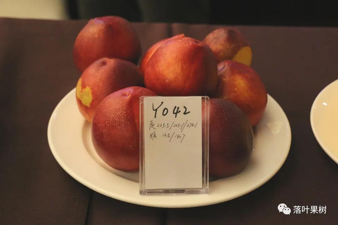 中国桃产业转型升级,桃产业转型升级的思考