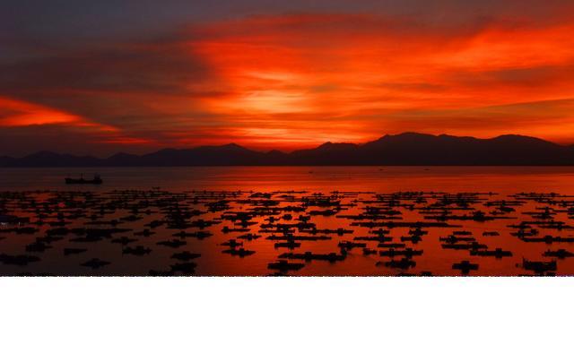 广东有哪些海岛值得去,广东附近的海岛海滩推荐