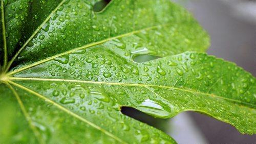 中兴axon30为什么放弃屏下摄像头,中兴axon405g前置摄像头评测