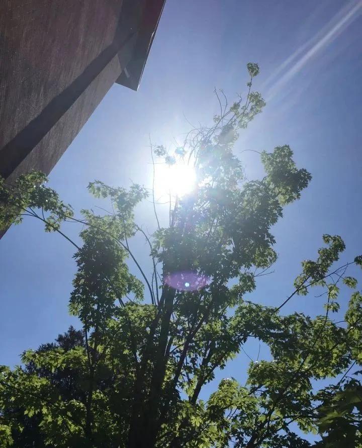 在北京十一学校就读是怎样一番体验？这里有最幸福的时光