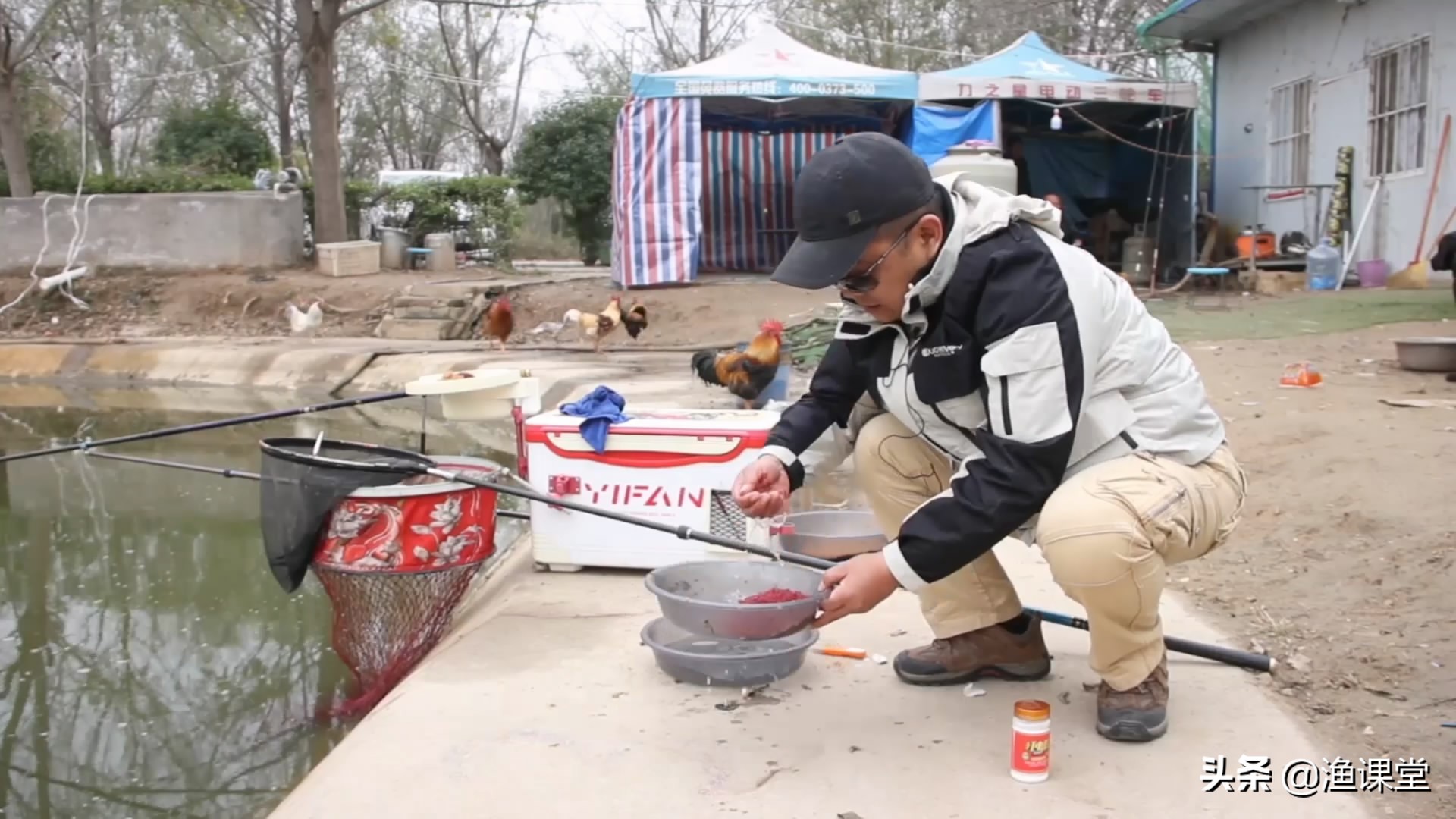 冬季野钓罗非鲤鱼鱼饵搭配,冬季钓大口鲶用什么鱼饵好