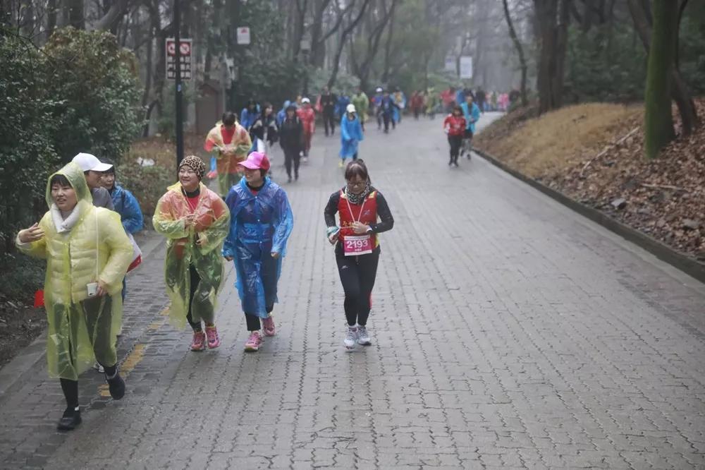 常熟市中学登高活动,迎新年登高活动