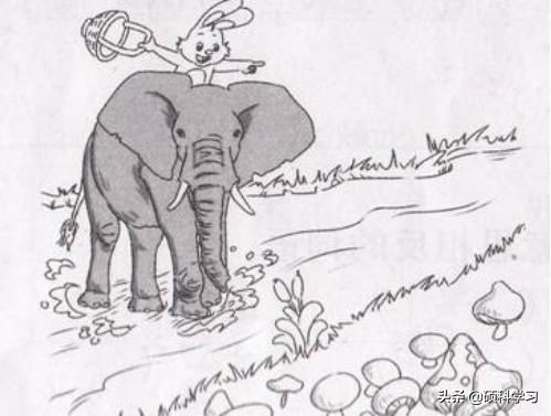 一二年级看图写话训练教程视频,一二年级看图写话训练教程